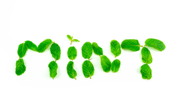 Spaermint, pepermint isolated on white background