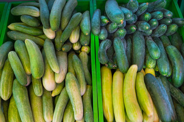 Cucumbers in a box on a wooden background. Cucumber harvest.