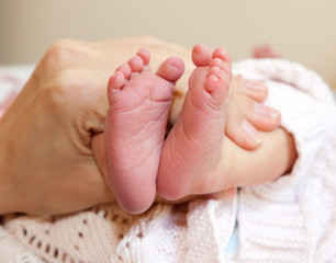 Infant heels in  mother's  hands