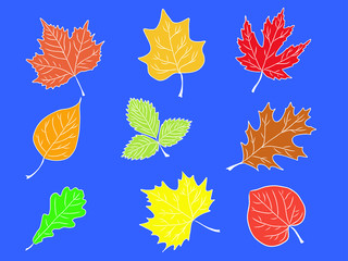 Obraz premium set leaf icon vector isolated