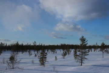 finish national park Pyh&auml;-Luosto in winter, finnland