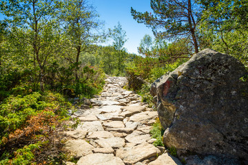 Fototapeta na wymiar Hiking footpath to the Preikestolen and Lysefjord area in Norway