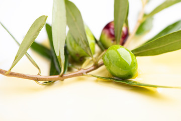 Three olives and olive oils with leaves