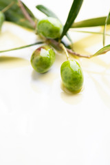 Three olives and olive oils with leaves