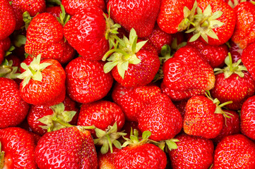 background of only ripe strawberry berries shot close-up