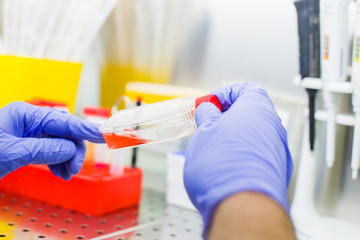 Laboratory work with tissue cultures