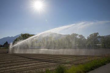 watering the dry fields