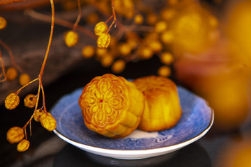 Chinese festival, the family reunited for the Mid-Autumn Festival, enjoying moon cakes,