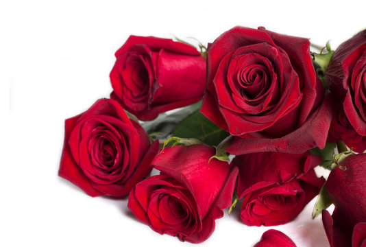  bouquet of red roses around white background
