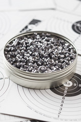 Lead airgun pellets.