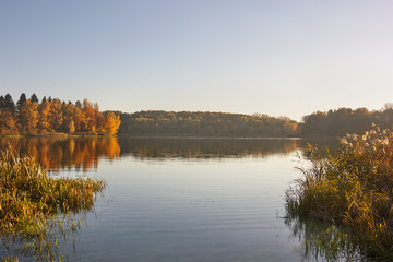 Autumn lake with yellow trees on sunset
