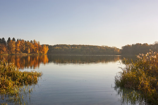 Autumn lake with yellow trees on sunset