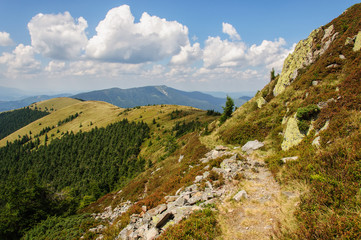Beautiful hiking trail in Carpathian mountains. Ukraine