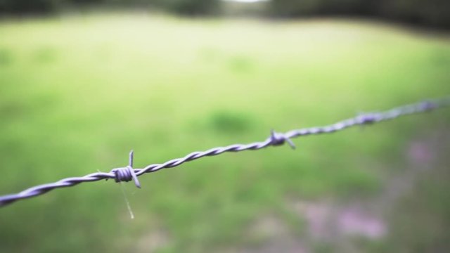 Follow barbwire from left to right in slow motion, green grass in blurry background.