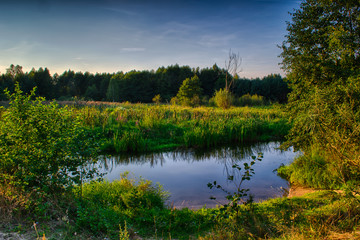 Krajobraz letni nad dziką rzeką