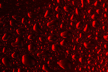 Red background with water droplets close-up. Horizontal photo