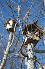 Obraz premium birdhouse, sail, antenna, blue sky, mast
