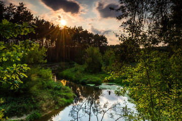 Krajobraz letni nad dziką rzeką