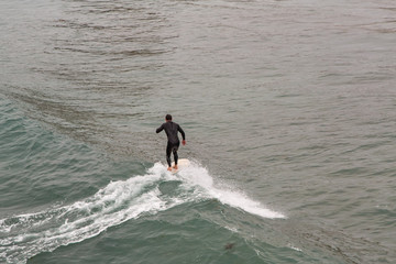 A Lone Surfer Catching a Wave in San Diego, California