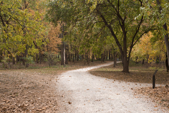 Dirt Road In An Indianapolis Park During The Fall