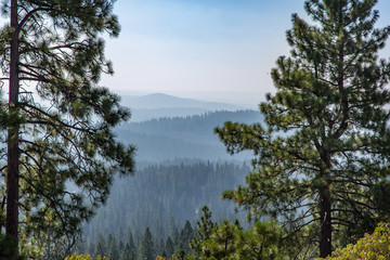 Hazy View Over the Forest from the Rim Trail, Arnold, California