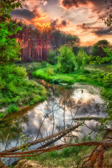 Krajobraz letni nad dziką rzeką