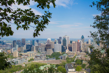 Fototapeta premium Montreal Skyline