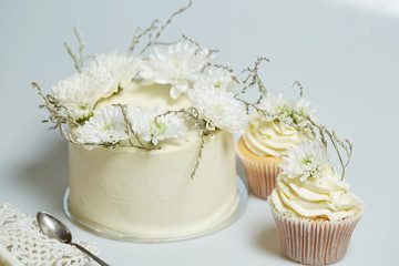 Obraz na płótnie Canvas White cake and cupcakes