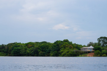 Panorama from Amazon rainforest, Brazilian wetland region.