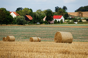 Straw bales on the field - beautiful countryside