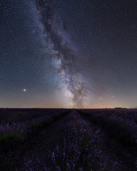 Milky Way over lavanda field in Palencia, Spain
