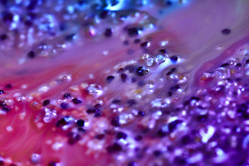 Colours mixing in fluid