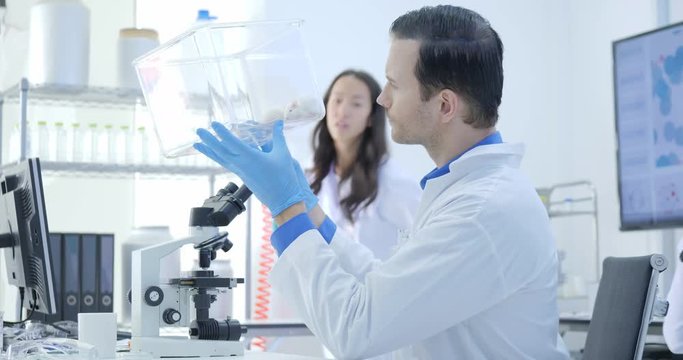 Medical Research Scientists Looking at Laboratory Mouse in a Cage. Laboratory Bright and Modern.