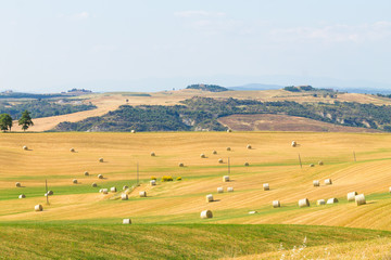 Obraz premium Tuscany hills landscape, Italy