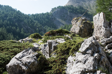 Photo de paysage panoraminque de haute montagne et de chemins de randonnée dans les alpes