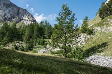 Photo de paysage panoraminque de haute montagne et de chemins de randonnée dans les alpes