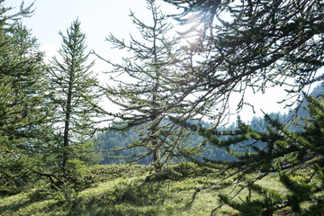 Photo de paysage panoraminque de haute montagne et de chemins de randonnée dans les alpes
