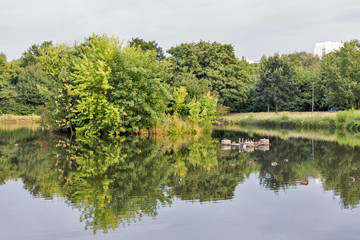 Fototapeta premium modern urban garden lake landscape in Berlin