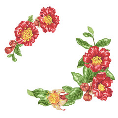 Bright red vector frames with big pomegranate flowers and fruits on the branches