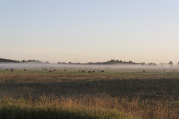 Fototapeta na wymiar foggy morning, sunrise