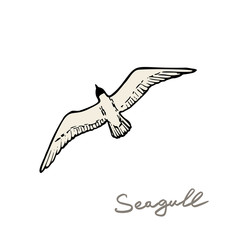 seagull in the sky vector illustration