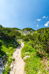 Fototapeta na wymiar Tourist path in Slovenia mountains near Vogel. Path of top of mountain, green grass, tress, blue sky. Hiking in Europe. Triglav national park, Julian Alps.