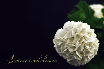 Sincere condolences. Condolence card