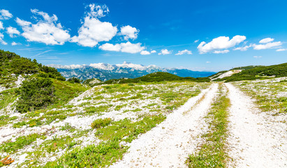 Tourist path in Slovenia mountains near Vogel. Path of top of mountain, green grass, tress, blue sky. Hiking in Europe. Triglav national park, Julian Alps.
