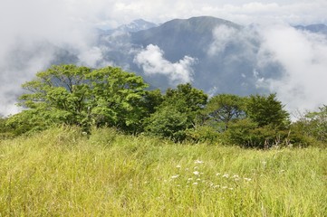蛭ヶ岳から望む晴れ行く大室山