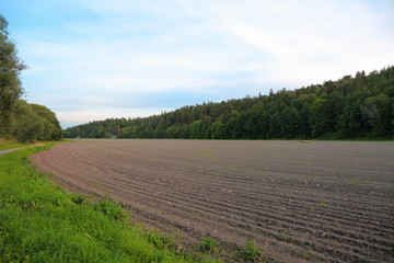 Fototapeta na wymiar Gorgeous view of plowed field ready for sowing of winter crops. Agriculture concept. Sweden, Europe.