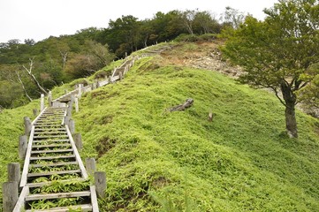 蛭ヶ岳に登る植生保護の階段