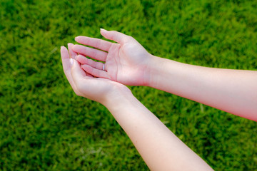 Female hands above the grass, stretched palms up.