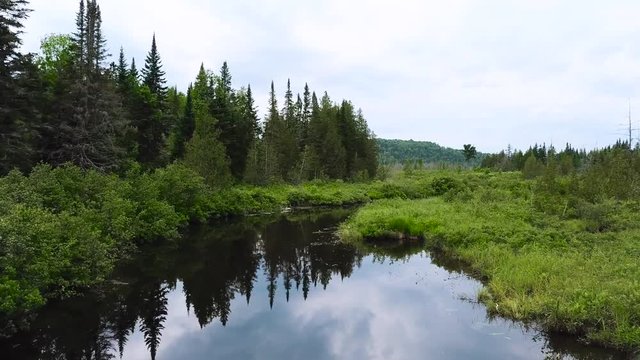 A drone flies across a stream. The camera pushes in and reveals tall green grass and trees.