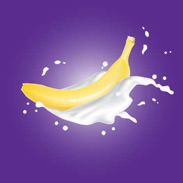 Realistic 3d Banana in milk yogurt splash on purple background. Fresh splashing falling banana with milkshake drops. Design Element For Web Or Print Packaging. Vector